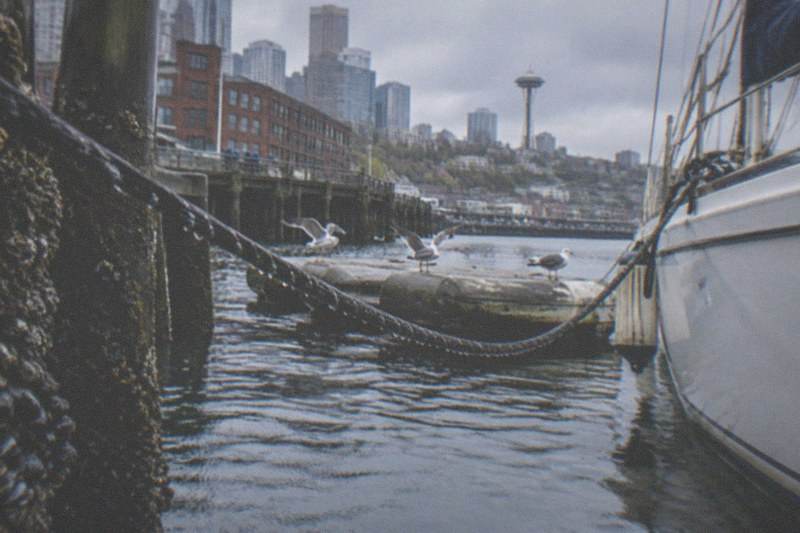 Sailboat sliding past downtown towers on a short scenic loop; the Downtown 1.5-Hour Scenic Sailing Cruise with Sailing Seattle starts at $50 per person, carries a 4.9 rating across 136 reviews and includes free cancellation.