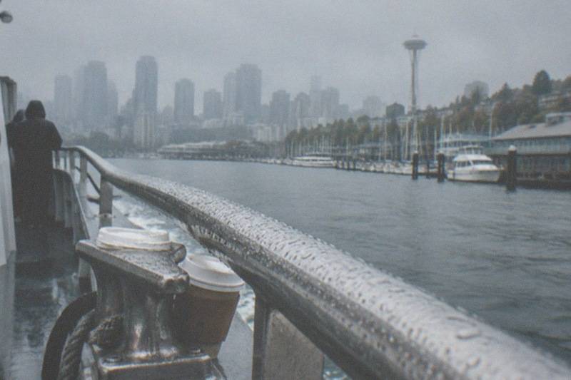 Deck seating and open water on the half-day Seattle wildlife and whale watching cruise from FRS Clipper, running three to five hours and carrying a 4.3 rating across 390 reviews, priced from $154.97 per person.