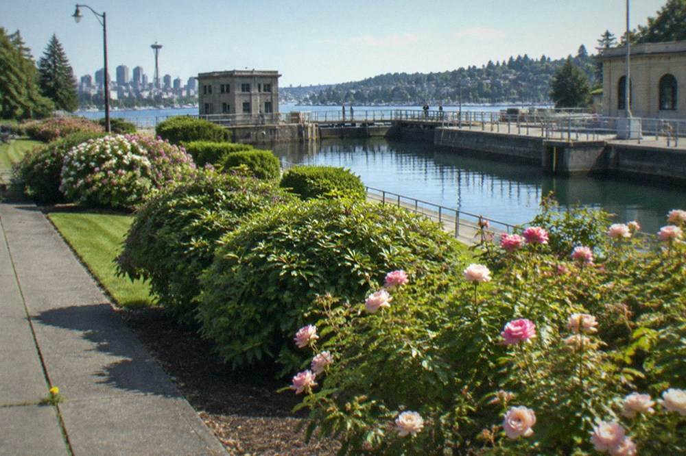 Gardens and walkway on the freshwater side of the Ballard Locks on a summer afternoon
