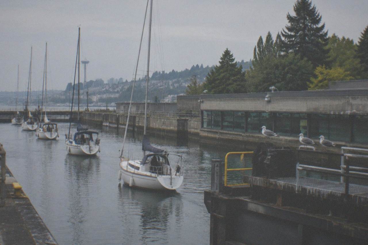 Sailboats tied in the Ballard Locks channel with the fish ladder viewing building along the far wall