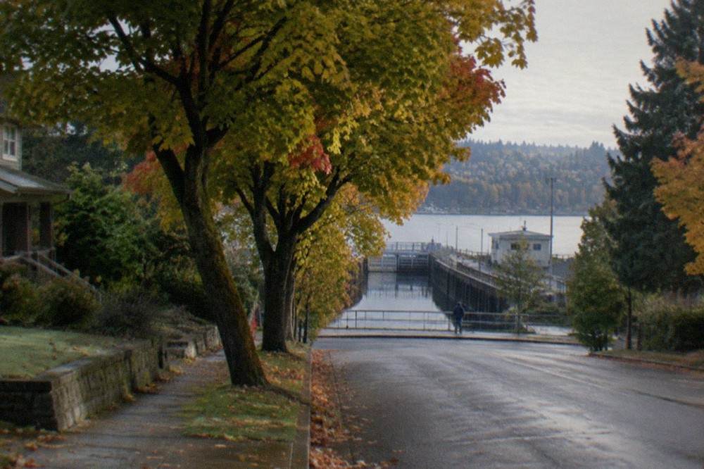 A quiet residential Seattle street with parked cars and leafy trees near a canal railing