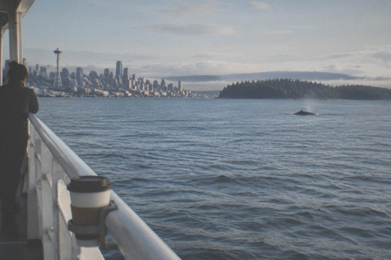 A whale watching boat on open Puget Sound water with forested islands on the horizon