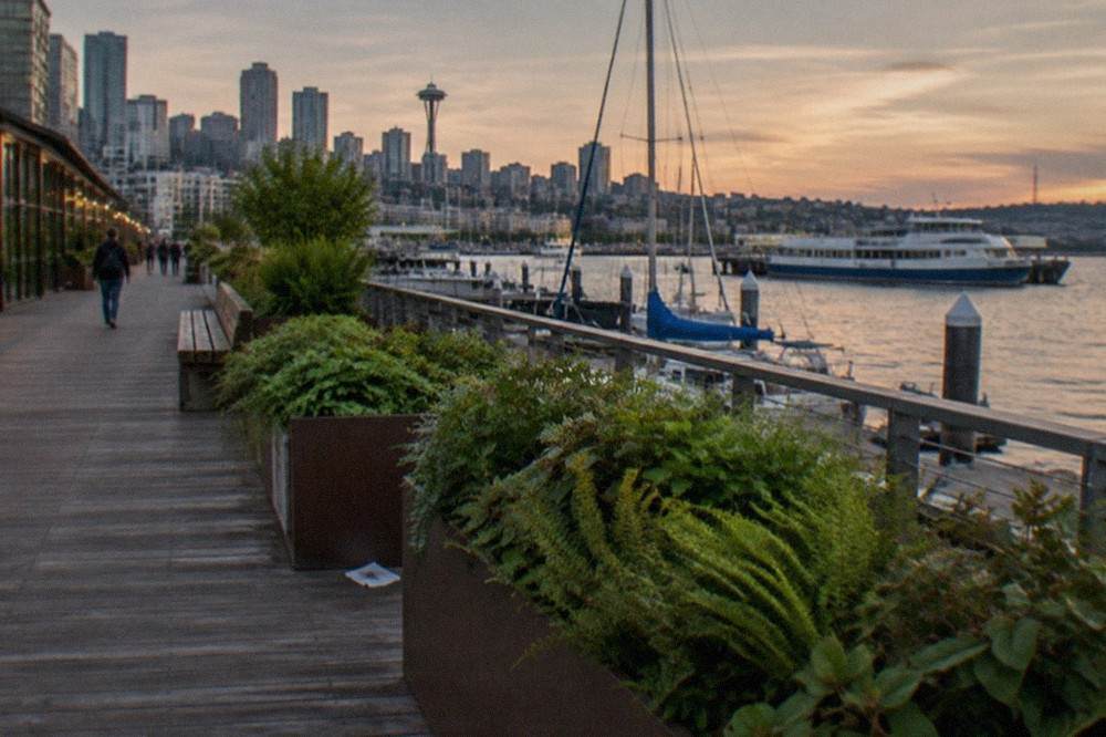 Waterfront park promenade along Elliott Bay with benches, plantings and moored boats