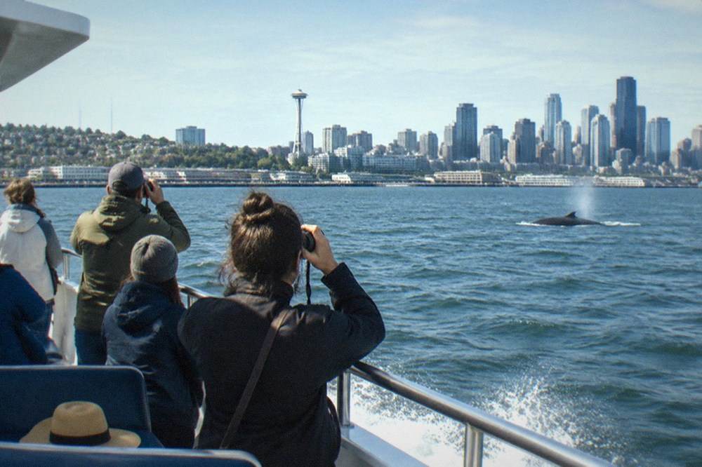 A whale-watching boat with passengers along the rail crossing open green water