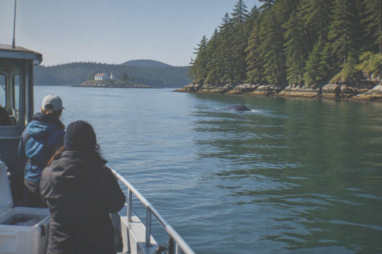 A small boat crossing calm green water between forested islands on a clear day