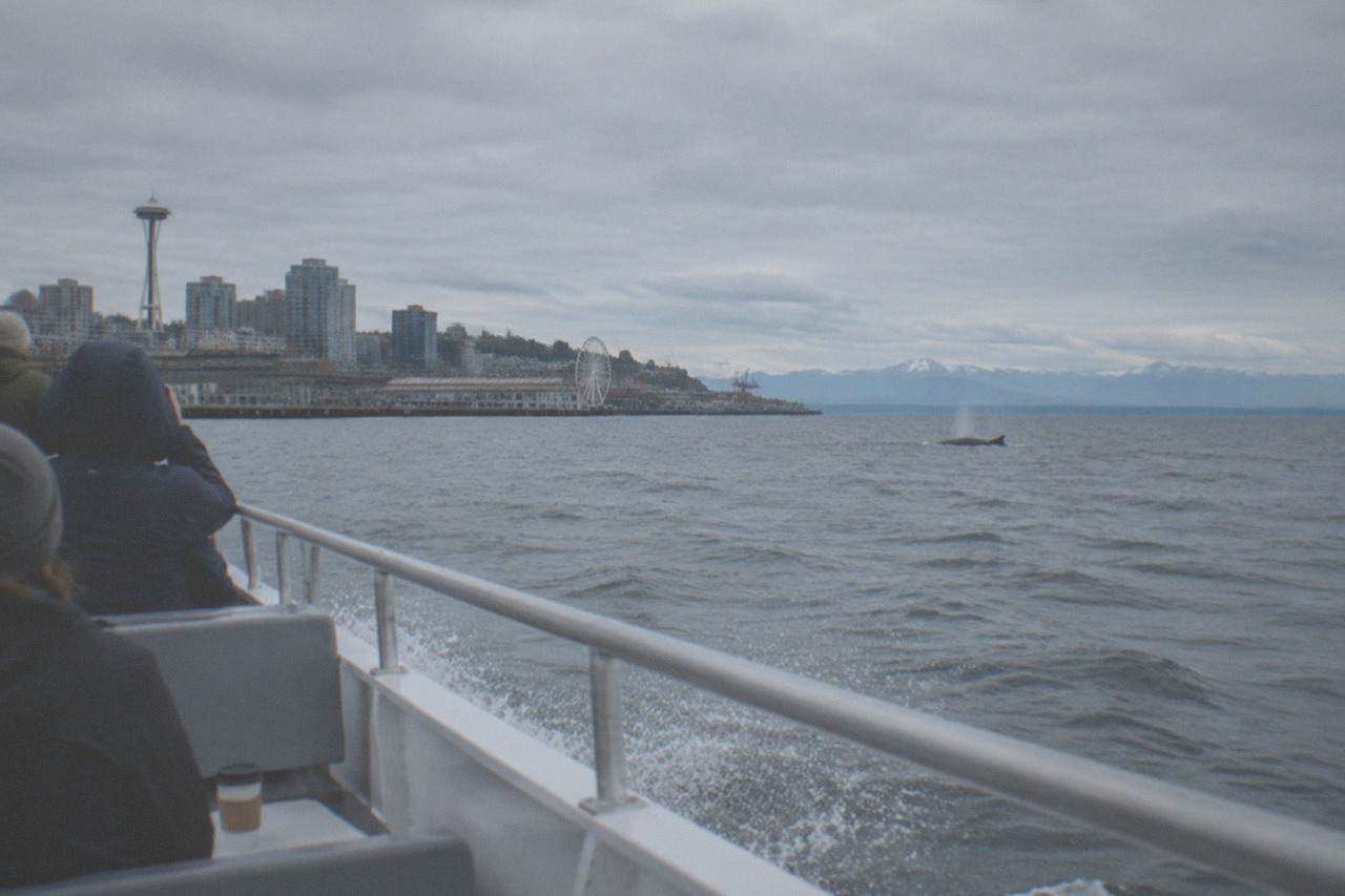 A whale watching boat on open Puget Sound water beneath a wide cloudy sky