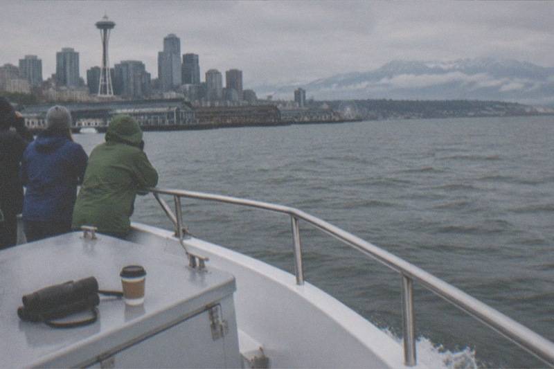 Cruise vessel in open water as passengers scan the surface for whales and other wildlife; the whale-watching category lists three trips from $150 per person, from 3 to 5 hour cruises to a 10 hour 30 minute Deception Pass day tour.