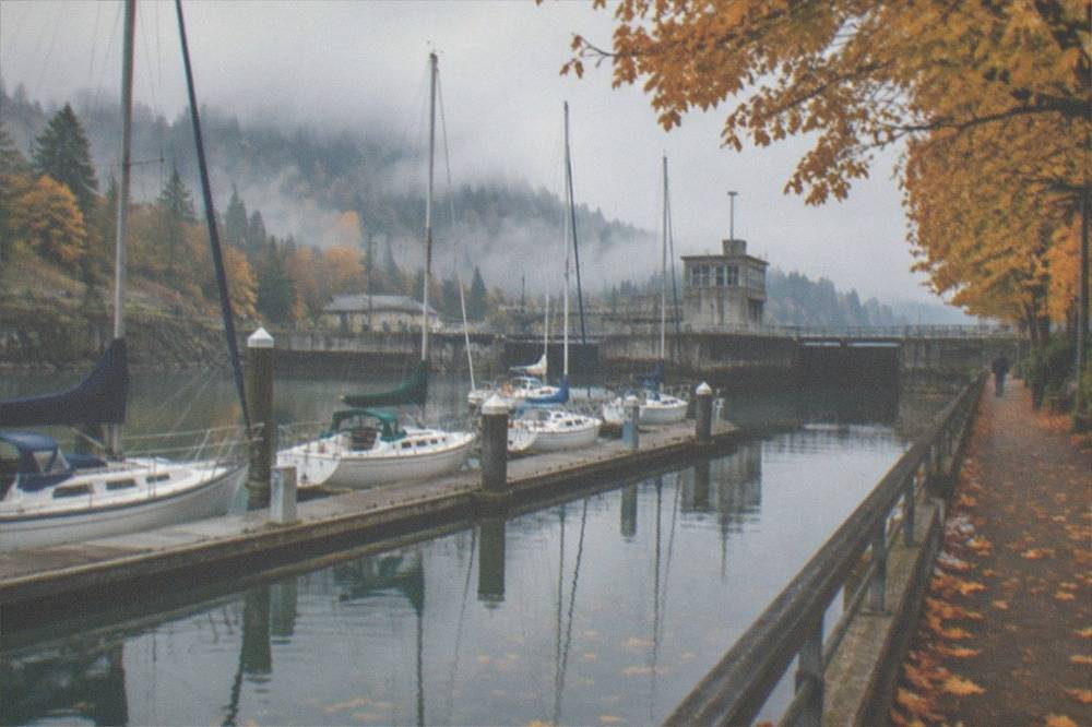 Sailboats moored near the Ballard Locks on the Lake Washington Ship Canal